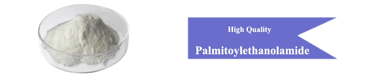 Palmitoylethanolamide Powder.jpg